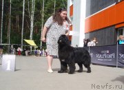 Превью фото № 126834