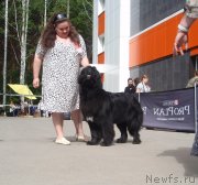 Превью фото № 126835