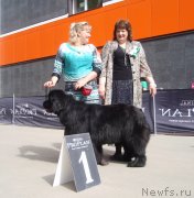 Превью фото № 126838