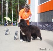 Превью фото № 126839