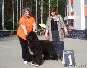 Превью фото № 126840