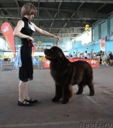 Превью фото № 126913