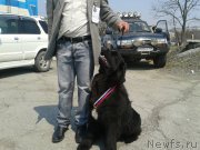 Превью фото № 126931