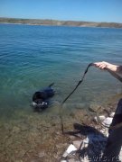 Превью фото № 126938