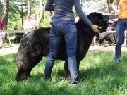 Превью фото № 126980