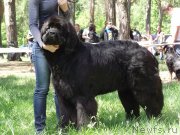 Превью фото № 126987