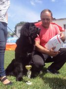 Превью фото № 127000