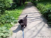 Превью фото № 127119