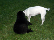 Превью фото № 127147