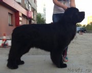 Превью фото № 127174