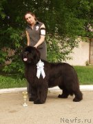 Превью фото № 127210