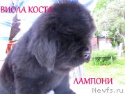 Превью фото № 127494