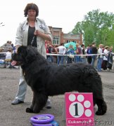 Превью фото № 127528