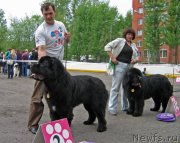 Превью фото № 127531