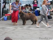 Превью фото № 127584