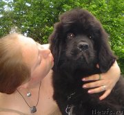 Превью фото № 127585