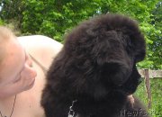 Превью фото № 127590