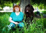 Превью фото № 127606