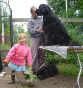 Превью фото № 127612