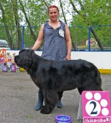 Превью фото № 127616