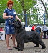 Превью фото № 127617