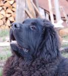 Превью фото № 12762