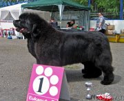 Превью фото № 127621