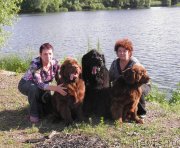 Превью фото № 127630