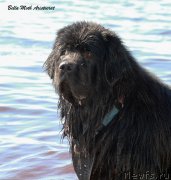 Превью фото № 127637