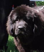 Превью фото № 127667