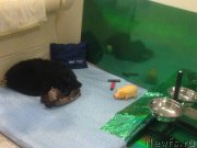 Превью фото № 127706