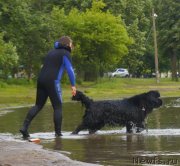 Превью фото № 127726