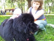 Превью фото № 127739