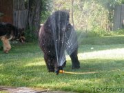 Превью фото № 127748