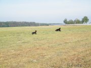 Превью фото № 127755