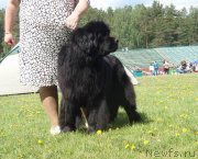 Превью фото № 127757