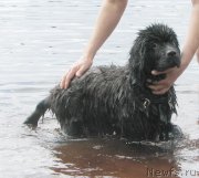 Превью фото № 127817