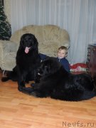 Превью фото № 127857