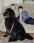 Превью фото № 127867