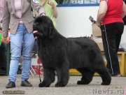 Превью фото № 127894