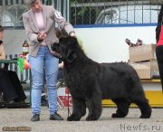 Превью фото № 127898