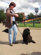 Превью фото № 127902