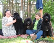 Превью фото № 127913