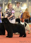 Превью фото № 127957