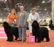 Превью фото № 127959