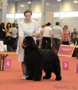 Превью фото № 127965