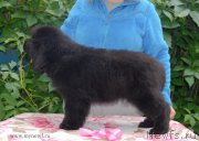 Превью фото № 127983