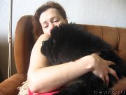 Превью фото № 128001