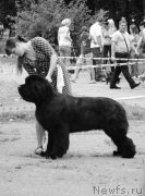 Превью фото № 128114