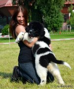 Превью фото № 128126